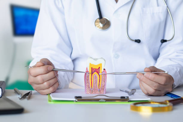 Best Emergency Treatment for Oral Infections in Schererville, IN